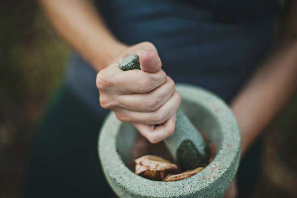 Hand holding fresh Tongkat Ali roots against a blurred forest background